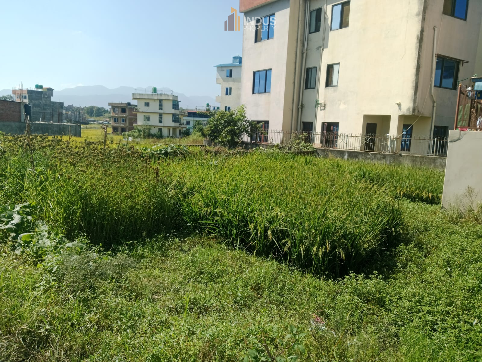property-image